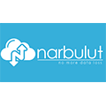 NarBulut